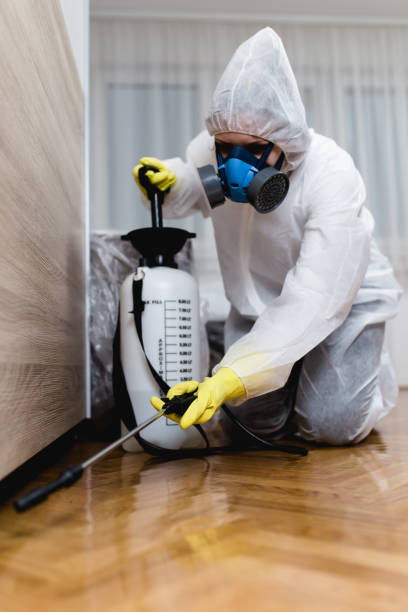 Emergency Pest Control Services in Temperance, MI